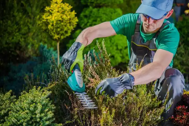 landscaping services Biddeford